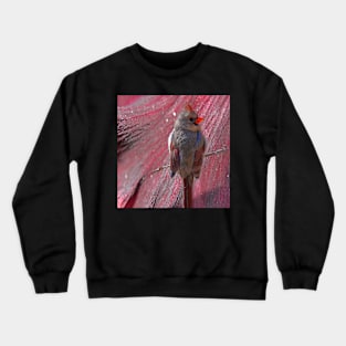 Against the Wing Crewneck Sweatshirt